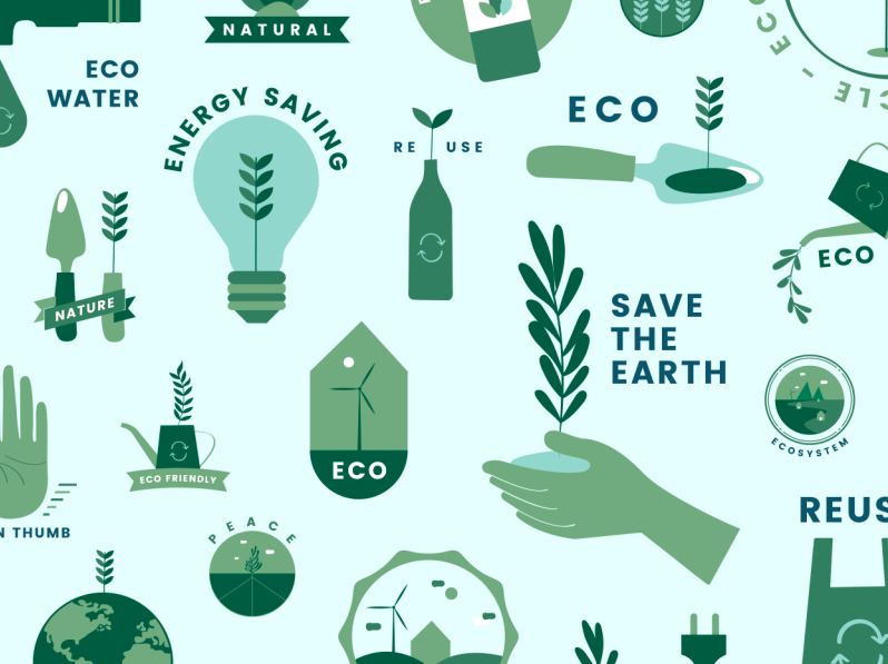 12-most-environmentally-friendly-companies-and-their-sustainability