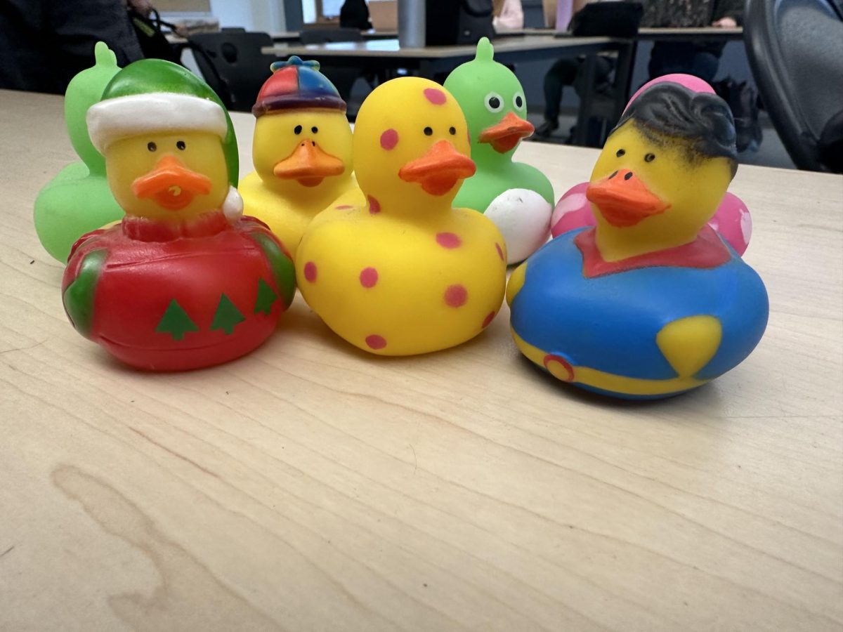 A few of the fake ducks currently in circulation.
