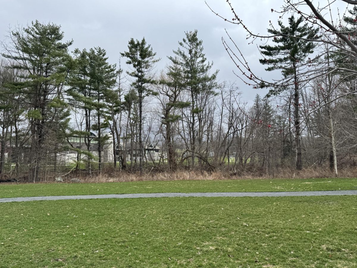 It's April Break: What Should I Do?